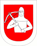 نشان رسمی پانوشی ویزد