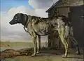 Wolf-Hound (ح. 1650–1652)