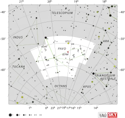 طاووس