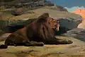 شیر