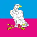 پرچم پرشچپینه