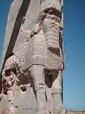تاج استوانه‌ای، شاخ‌های همراستا مانند شماره ۸، بال‌ها به گونه داس و پاهای استوار بر روی سکوها