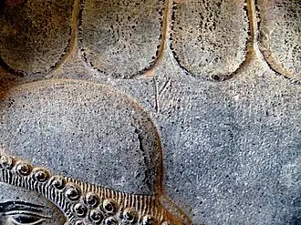 نشان دادن جزئیات