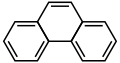 فنانترن