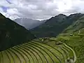 زمین کشاورزی در پرو که توسط اینکا کرت‌بندی شده است