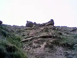 صخره پیشیک داشی به شکل گربه