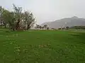 دشت سرسبز