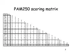 نمونه ماتریس PAM