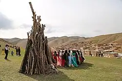 تصویری از پلوره