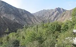 Pباغ‌های انار در دامنه صخره‌های سنگی.
