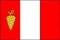 پرچم بوشوویتسه