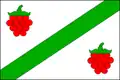 پرچم مالینکی