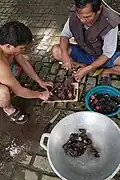 تصویر دیگری از آماده سازی گوشت