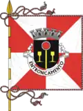 پرچم Entroncamento