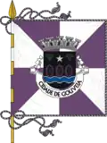 پرچم Gouveia