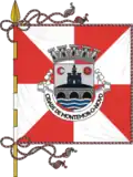 پرچم Montemor-o-Novo