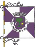 پرچم Oliveira do Bairro