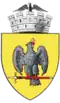 نشان Curtea de Argeș