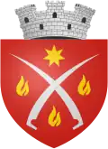 نشان فلامانزی