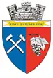 نشان Tăuții-Măgherăuș