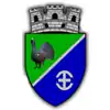 نشان Avrig