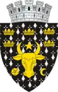 نشان Rădăuți