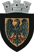 نشان Negrești