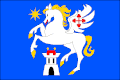 پرچم رادشین (ناحیه ژدار ناد سازاوو)