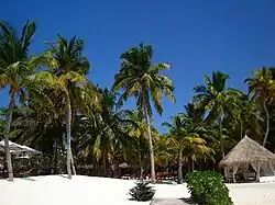 Rangalifinolhu island in Ari Atoll or Alif Dhaalu Atoll where هتلهای هیلتون operates a resort