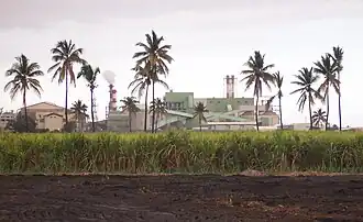 The sugarcane factory and the باگاس/coal dual power plant of Gol, in Saint-Louis
