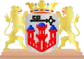نشان رینن