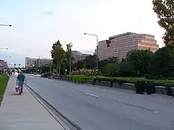 جاده رودخانه در روزمونت