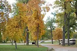 Riverfront Park along the Nez Perce National Historic Trail.
