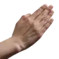 کاغذ