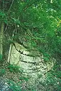 Synclinal fold in سیلورین Wills Creek Formation or Bloomsburg Formation at Roundtop Hill (Maryland)