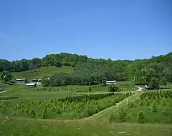 A farm in Rush