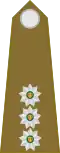 KapteinSouth African Army