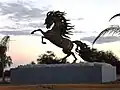 اسب در بلوار سن مارکوس
