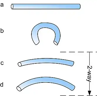 two way shape intrinsic memory