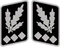 SS-Oberst-Gruppenführer collar