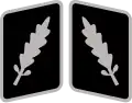 SS-Standartenführer Collar Rank