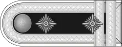 SS-Standartenoberjunker h