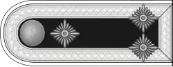 SS-Sturmscharführer h