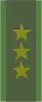KaptenSwedish Army
