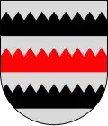نشان سارییروی