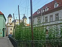 Hops garden, surrounded by buildings