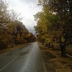 جاده سعیدیه در پاییز