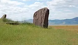 مگالیت سالبیک کورگان
