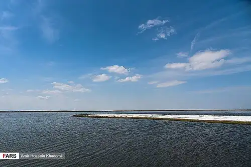 تالاب صالحیه