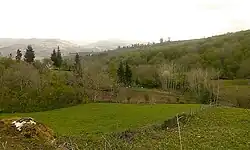 روستای سلیم شیخ